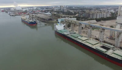 Crecieron las exportaciones de cereales y oleaginosas desde puerto Bahía Blanca
