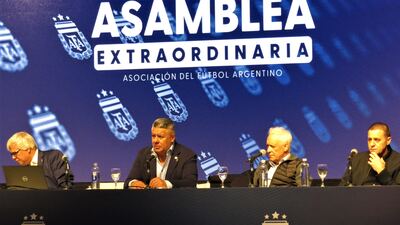 La AFA eliminó uno de los descensos de la Liga Profesional