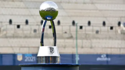 Se dio a conocer el fixture de la Copa de la Liga y la Liga Profesional 2024: el calendario completo