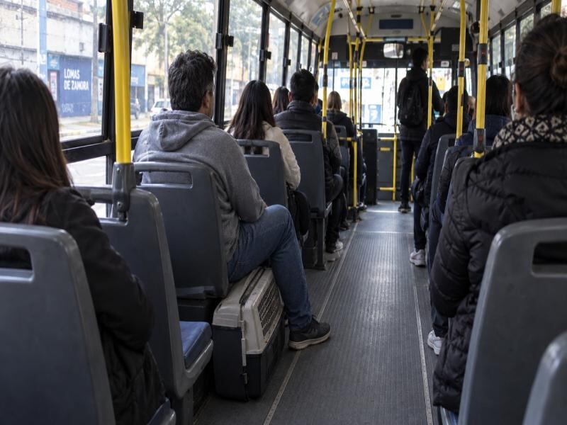 Lomas de Zamora: Los animales podrán viajar en colectivo para su atención veterinaria