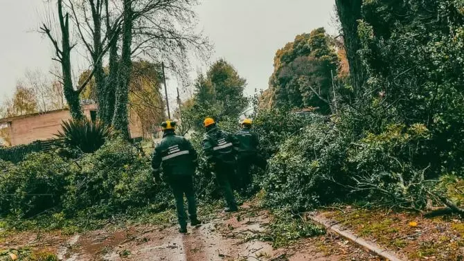 Mar del Plata: La Comuna ya atendió 40 reclamos por las condiciones climáticas
